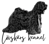 Lövskärs kennel